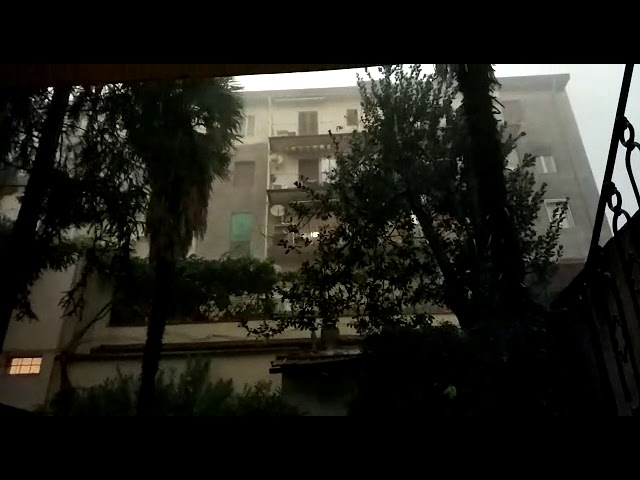 Tempesta di vento a Firenze