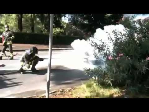 Auto a fuoco sui lungarni