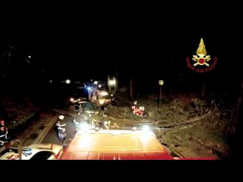 Viale dei Colli, albero cade su un’auto in transito
