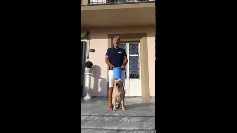 Anche per Andrea Bocelli #ALSIceBucketChallenge