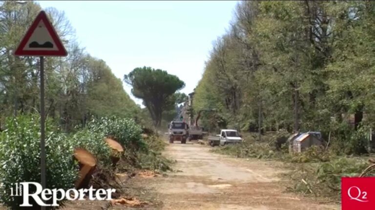I danni della tempesta del primo agosto a Firenze, Quartiere 2