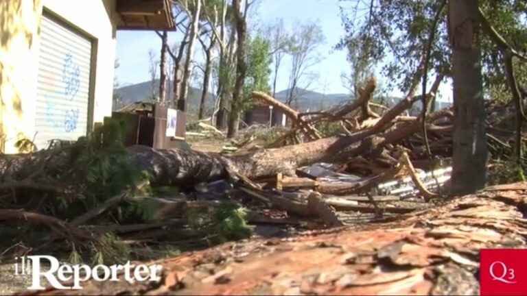 Dopo la bufera il parco dell’Anconella diventa una giungla