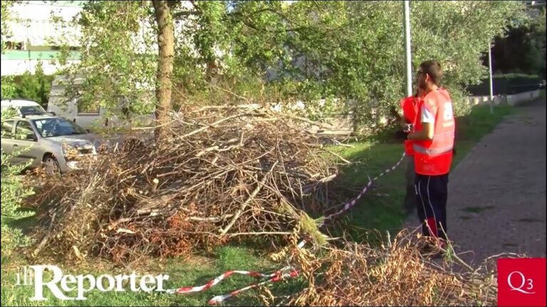 Una cena per salvare il parco dell’Anconella