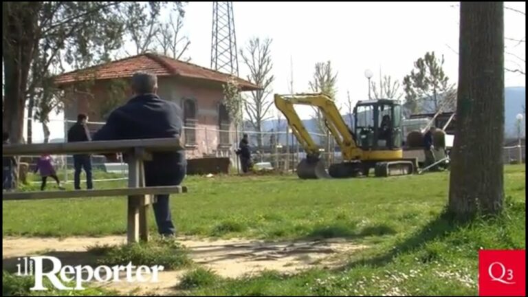 150 nuovi alberi per l’Anconella