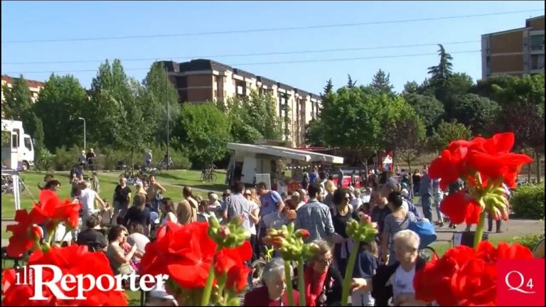 Invasione ”verde” nel parco dell’Argingrosso