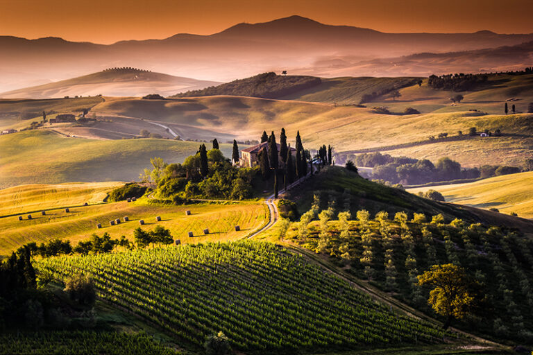 Agricoltura: in Toscana 2 bandi per finanziare gli investimenti