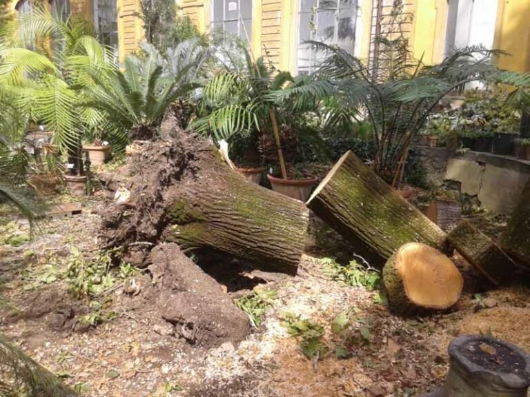 Maltempo, danni irreparabili all’Orto botanico