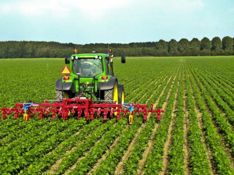 Il bando per giovani agricoltori fa boom