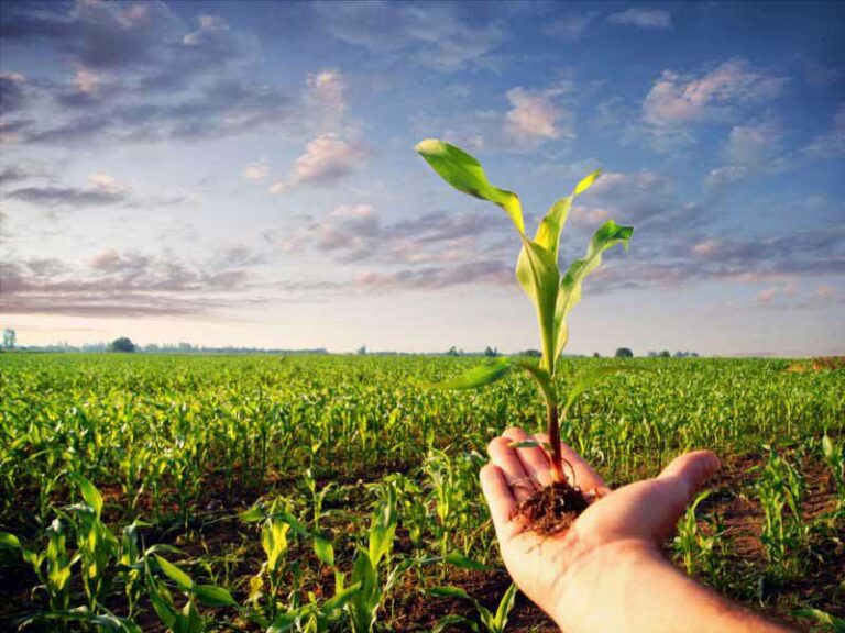 Le innovazioni per il biologico toscano