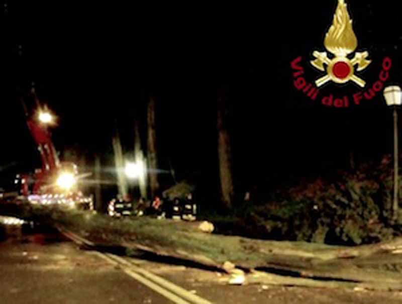 Viale dei Colli, albero cade su un’auto in transito / VIDEO