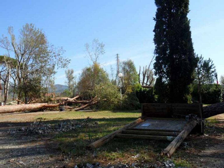 In bici per ricostruire il parco dell’Anconella