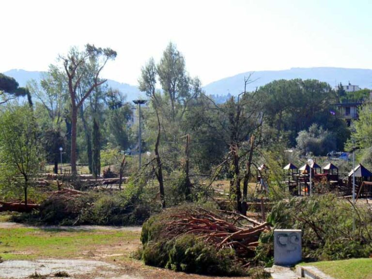 Una cena e raccolte fondi per salvare il parco dell’Anconella
