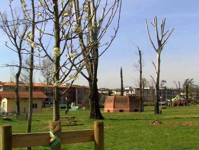 150 nuovi alberi per il parco dell’Anconella