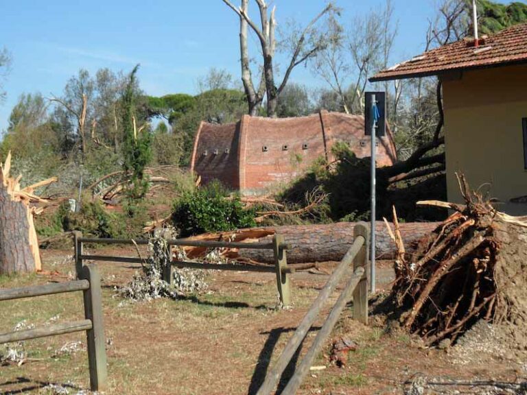 Anconella un anno dopo l’uragano. Festa per la rinascita del parco