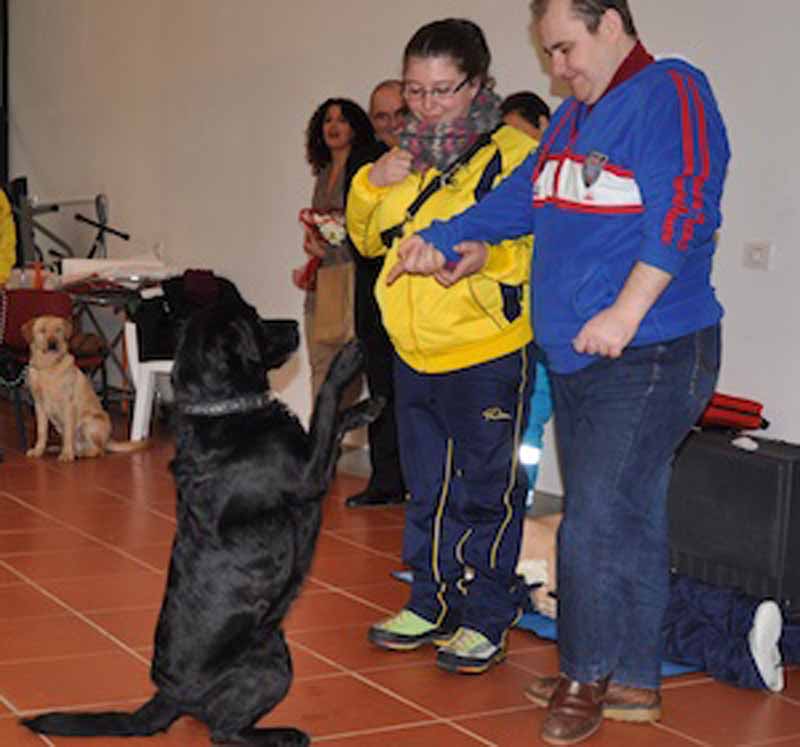 I cani diventano modelli. E i disabili dipingono davanti agli studenti