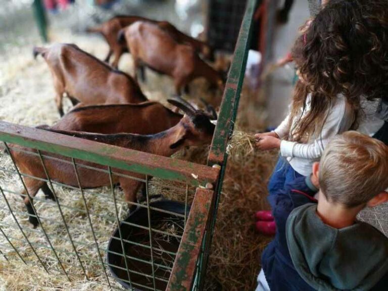 Antica Fiera dell’Antella: tanti laboratori per i bimbi