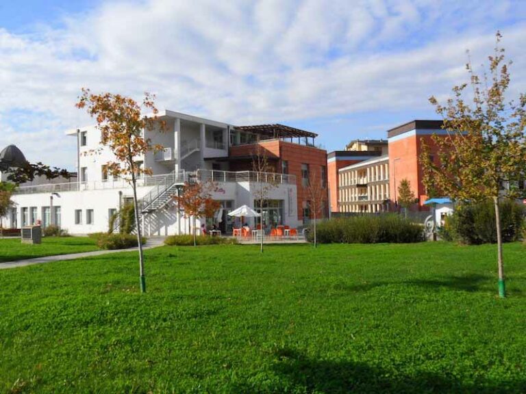 Yoga nel giardino della biblioteca (gratis)