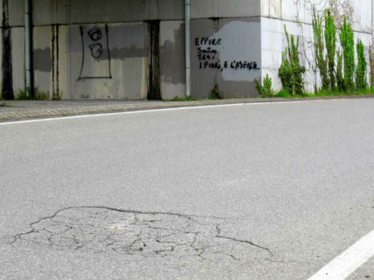 Le buche? A Firenze le segnali via chat