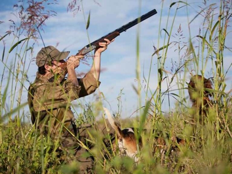 Il calendario 2014 per la caccia in Toscana