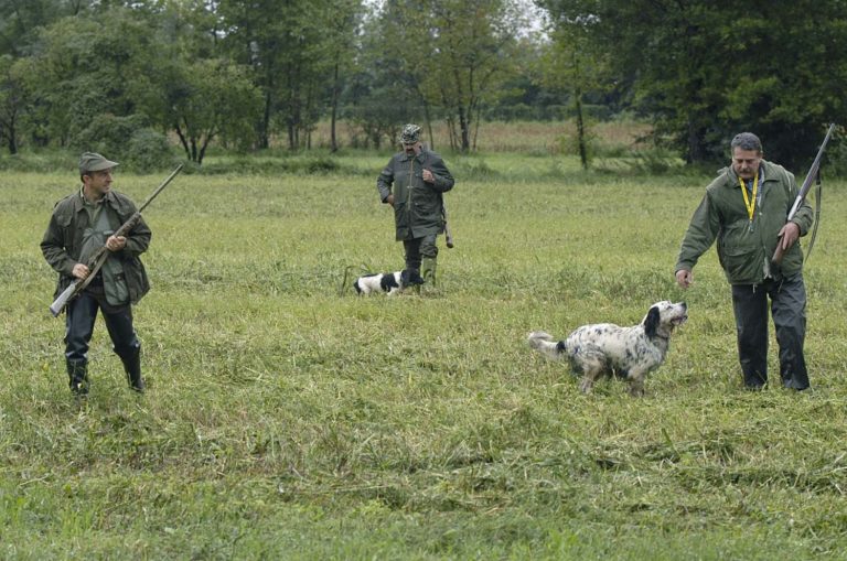 Appello al ministro di Wwf, Lipu e Enpa: “Posticipare stagione venatoria”
