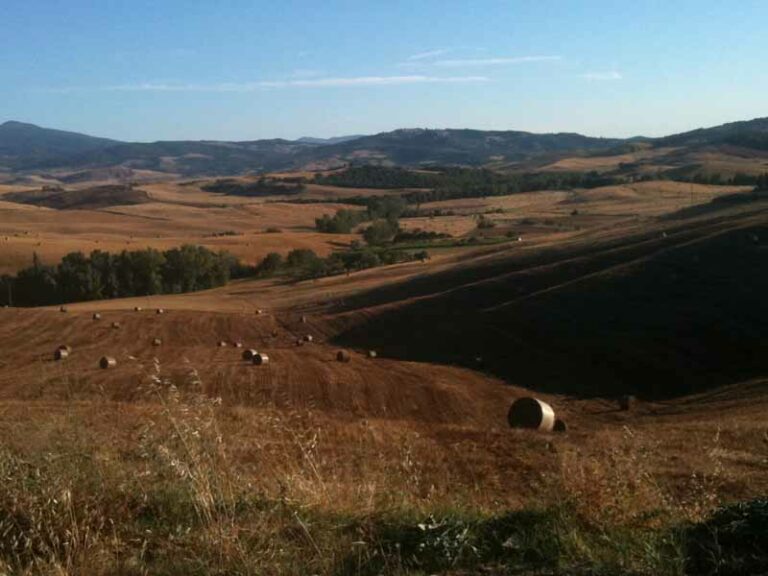 Vacanze sì, ma a chilometri zero (o quasi)