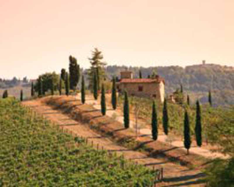 chianti