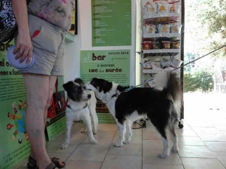 Il Dog Bar di Firenze: l’aperitivo è da cani