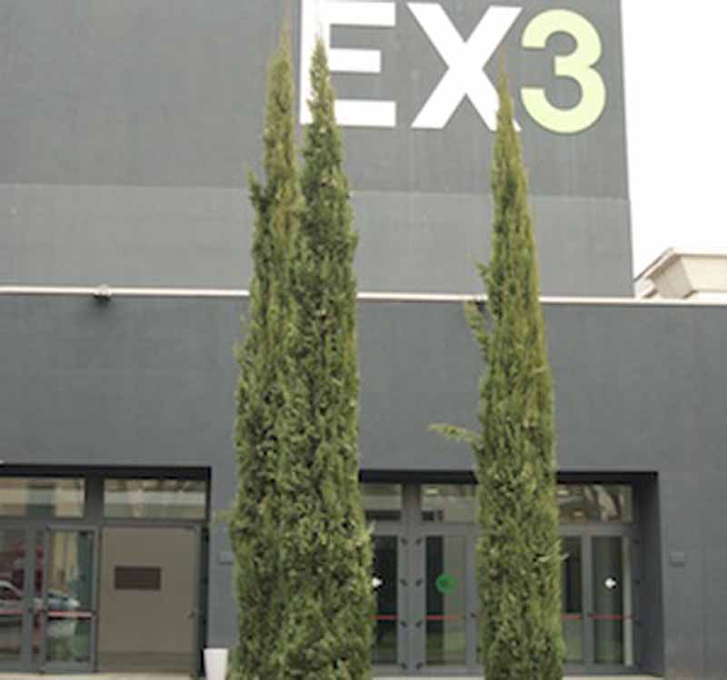 Viale Giannotti, aggiudicata la gestione dell’ex Auditorium