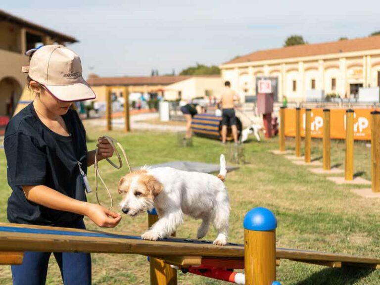 Le più belle immagini di Follow Your Pet