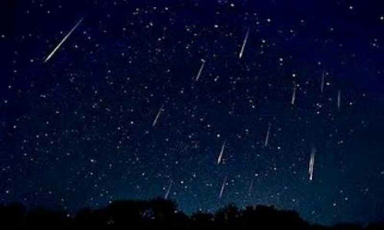 Stelle cadenti come dessert: a “Il Fico” sono comprese nel menù