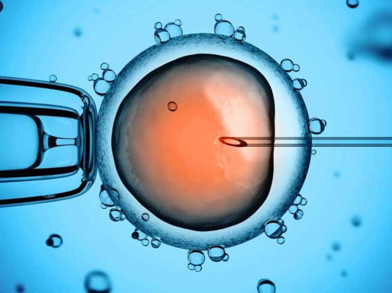 Fecondazione eterologa, la prima volta di Careggi