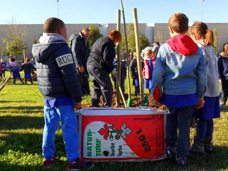 Festa_degli_alberi_03