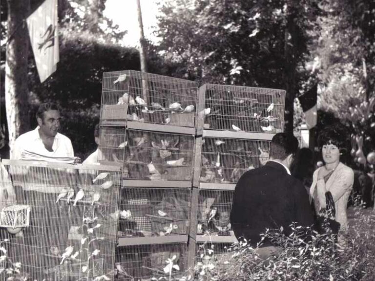 La Fiera degli Uccelli (Viale Machiavelli e Viale del Poggio Imperiale)