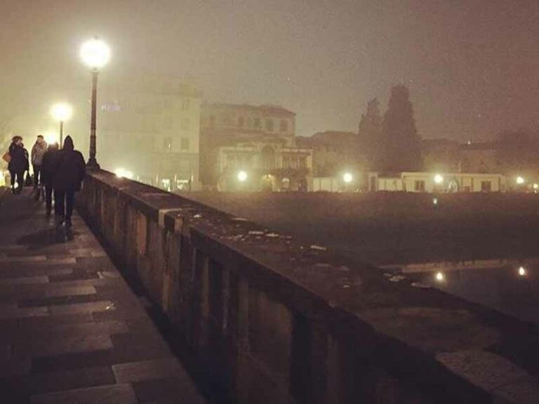 Tra canini e casini