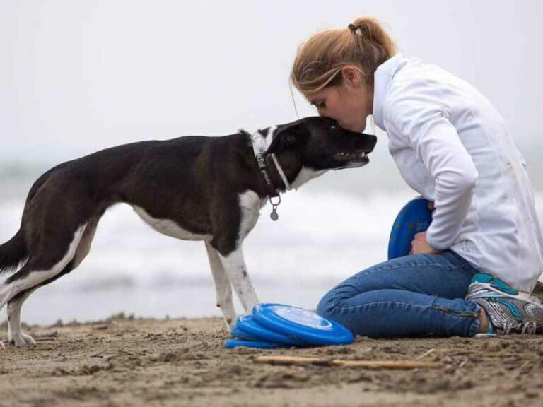 Follow Your Pet: la fiera dedicata agli animali da compagnia