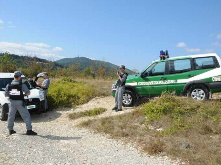 Dà fuoco a una riserva naturale, arrestato 38enne