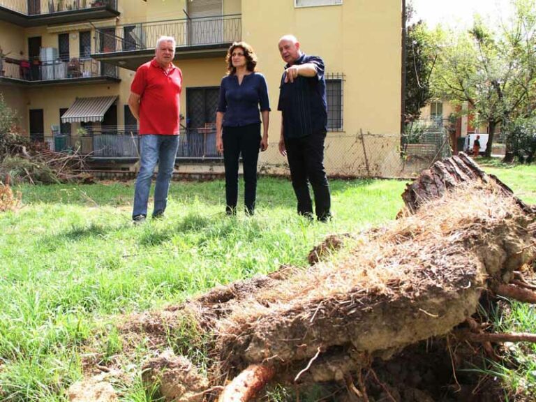 Riaperti i giardini, ma mille alberi sono andati giù