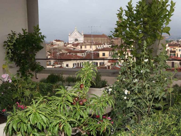 Un angolo verde a Palazzo Vecchio
