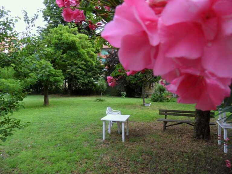 Come ti adotto un giardino