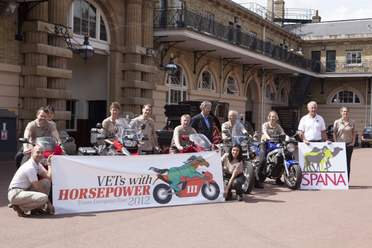 Horsepower, i veterinari itineranti fanno tappa a Pisa
