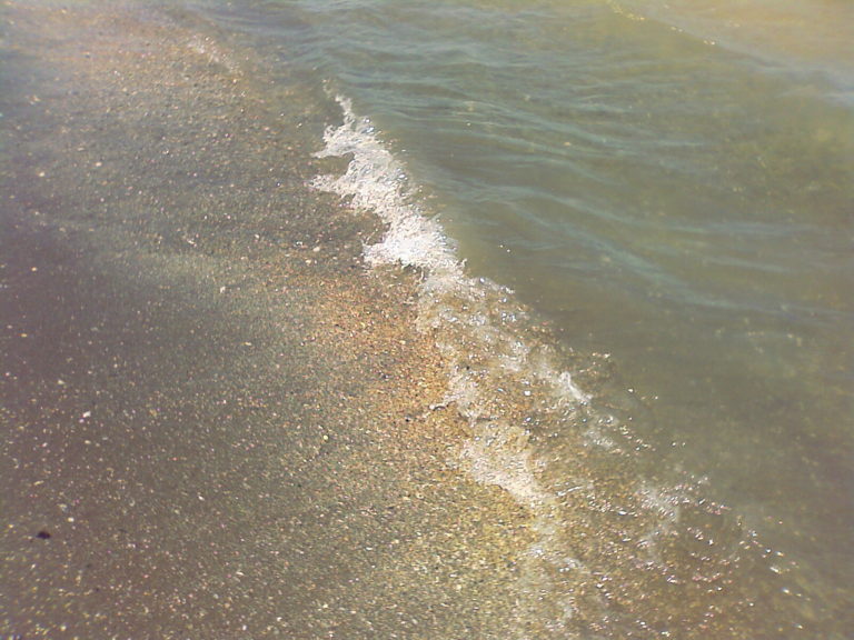 Grosseto, ossa umane ritrovate sulla spiaggia