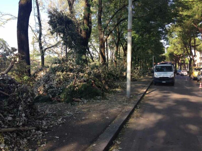 Cittadini e amministratori, tutti in strada per pulire lungarno Colombo