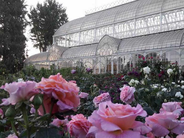 La mostra dei fiori di Firenze al giardino dell’Orticoltura