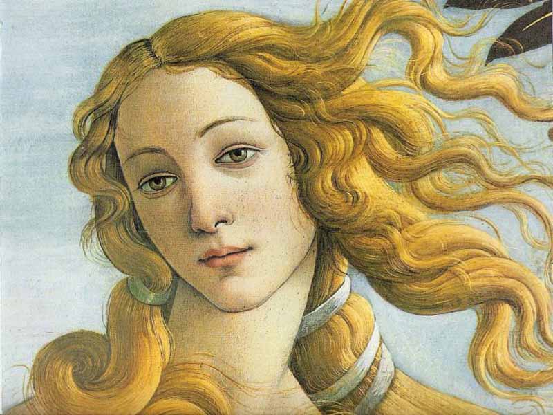 Musei_Firenze_Venere_Botticelli