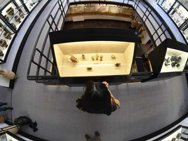Al museo con la Coop, entri in 2 e paghi 1