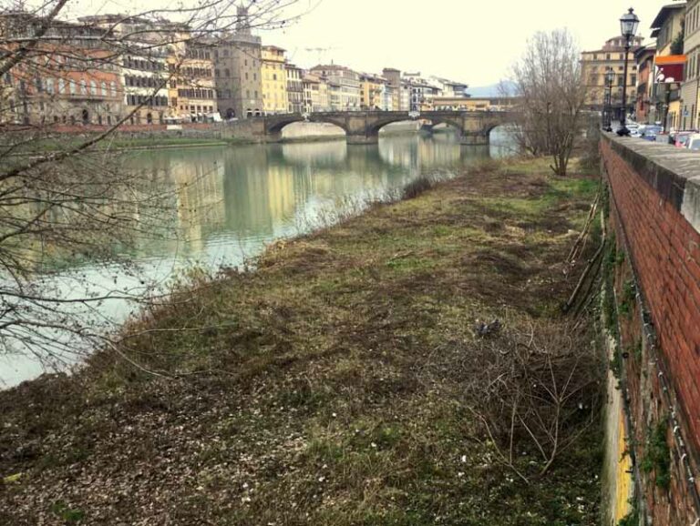 Il giardiniere dei lungarni torna in azione