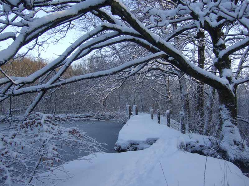 Neve sui passi appenninici e in Alto Mugello. Allerta meteo in Toscana