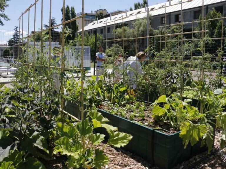 L’orto è universitario. E bioattivo