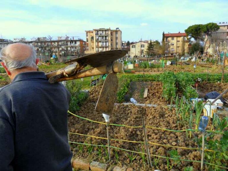 Orti sociali a Firenze: cercasi contadini urbani