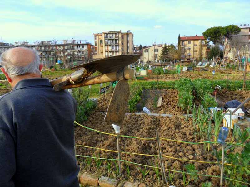 Orti_sociali_Firenze